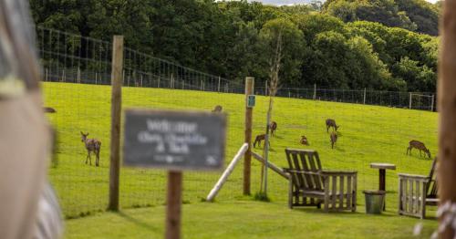 Luxury Safari Lodge surrounded by deer!! 'Roe'