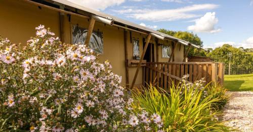 Luxury Safari Lodge surrounded by deer!! 'Roe'