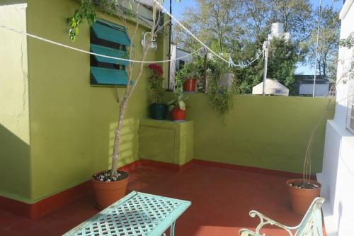 Spacious house with garden, La Plata center., La Plata (Foto 5)