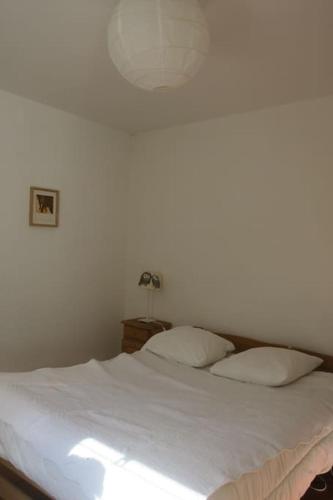 Spacious house with garden, La Plata center., La Plata (Foto 9)