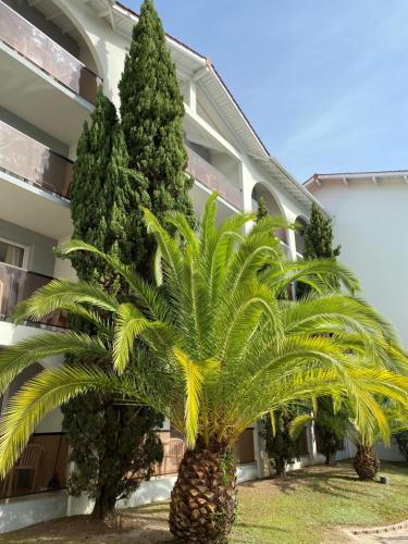 Garden, Hotel Residence Anglet Biarritz-Parme in Anglet
