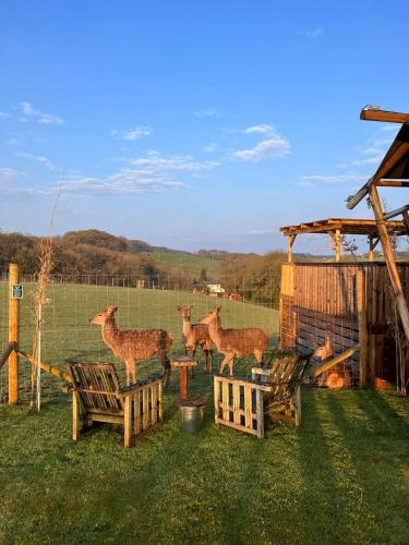 Luxury Safari Lodge surrounded by deer!! 'Roe'