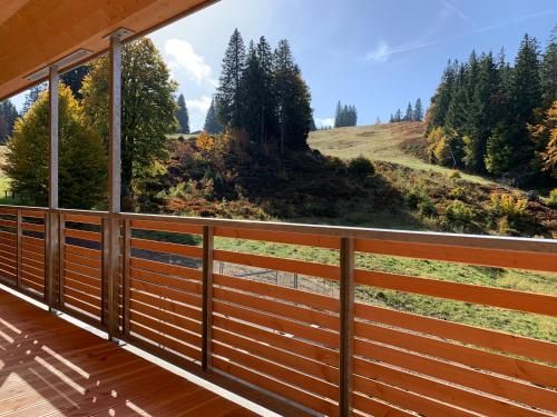Udsigt, Lejlighed i Feldberg ( Baden Wuerttemberg ) på 74 m². Soveværelser: 1. Private badeværelser: 1. (Ferienwohnung Feldberg Schwarzwald - Wolke 8 -) in Feldberg ( Baden Wuerttemberg )