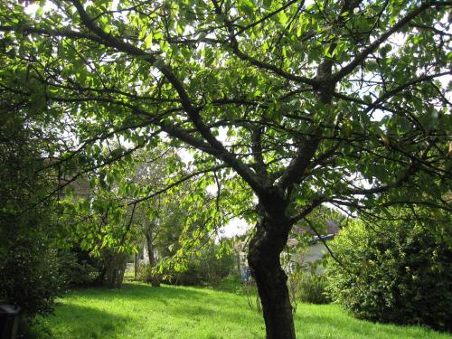 Maison avec grand jardin pour 15 couchages en Normandie - Location saisonnière - Cairon