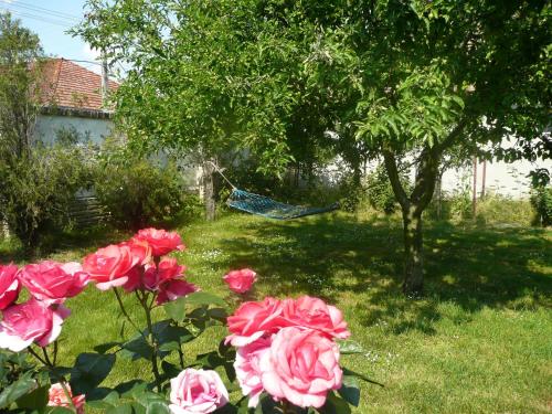 Guest House Tisza Ház - image 5
