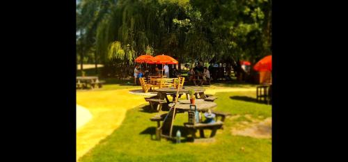 The Black Swan in Γουόρινκτον