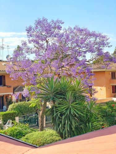Villa Brando - Luxury Stay near Sabaudia and Pontine Beaches
