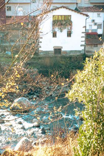 Apartamentos en el Valle del Jerte Flores para Angela