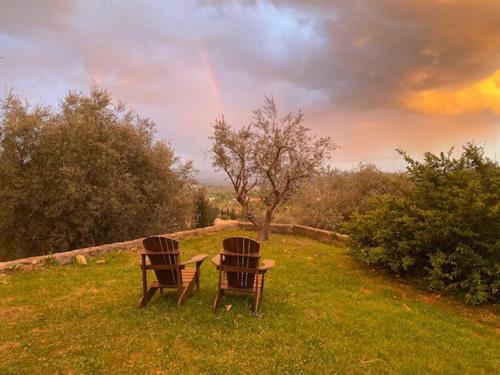 L'Olivette - Mas Provencal, Panoramic View & Pool