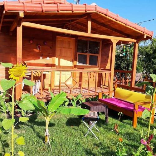 Adrasan LilAmor ile evinizin konforunda bir tatil