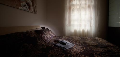 IL COM0' DELLA CIVETTA - La casa di Dorina