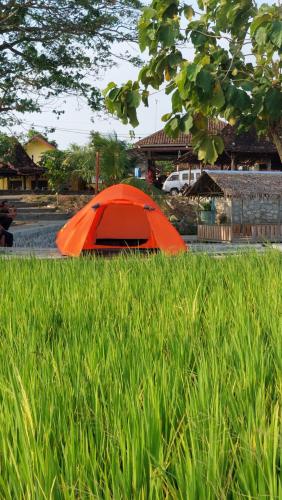 Desa Wisata Bendo Exotic Camp