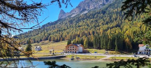 Chalet Alpenrose 5