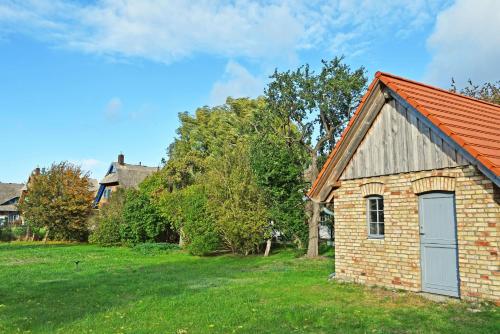 NEU angeboten Mönchguter Ferienhaus u Reetdach mit Kamin - image 2
