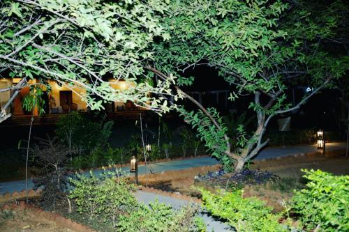 Ranthambore Nature Camp Resort in Ranthambore