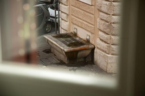 Repetita Juvant, Rome (photo 4)