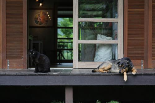 Sapientia near Guangfu Sugar Factory