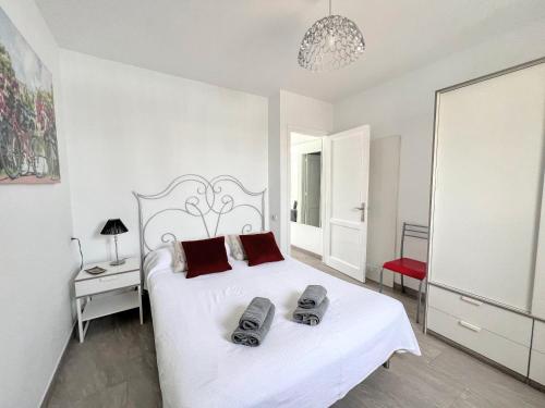 Buganvilla 5