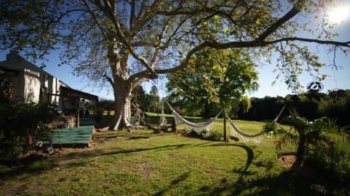 La Casa del Bosque Carmelo