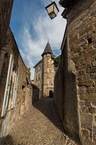 Maison au Loup - Superbe ancien hotel particulier du XVIe siècle au cœur de la vieille ville du Puy