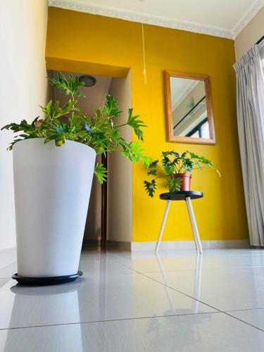 Styled bed and breakfast in Palapye