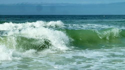 The Cottages at Madeira Beach/Dolphin - image 41