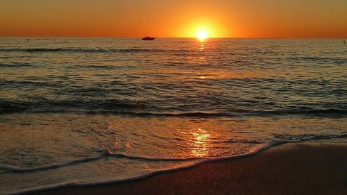 Luxurious/Brand New Oceana/Pools/HotTubs/Great location! - image 12