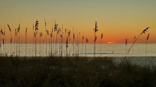 Sunset Chateau #412 - image 21