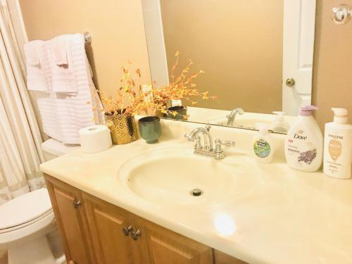 Hidden City Riverfront Apt Near Lakes Golf & Disney thumb 2