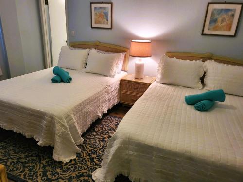 Oceanfront One Bedroom Condo Daytona Beach Fl in Daytona Beach, USA