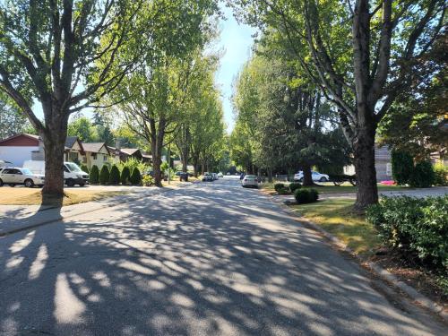 New 2 bedroom suite near surrey centre in Surrey, Canada