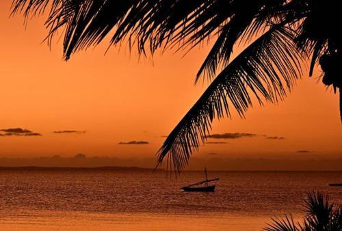 Villas do Indico — Photo 4