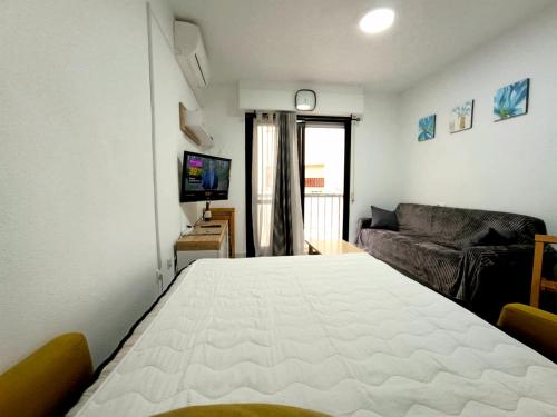 Estudio Gato del mar