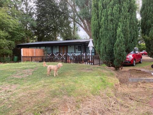Cherry Croft Lodge in Singleton