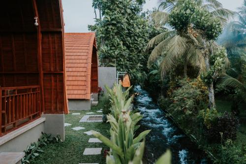 Kubu River View