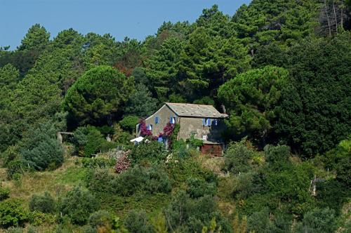 Maison de Charme Giulietta - Accommodation - Bonassola