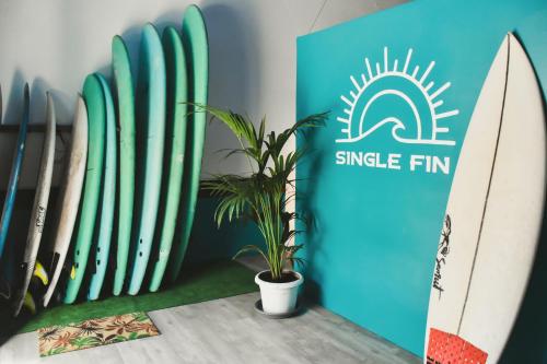 Single Fin Surf Hostel 4