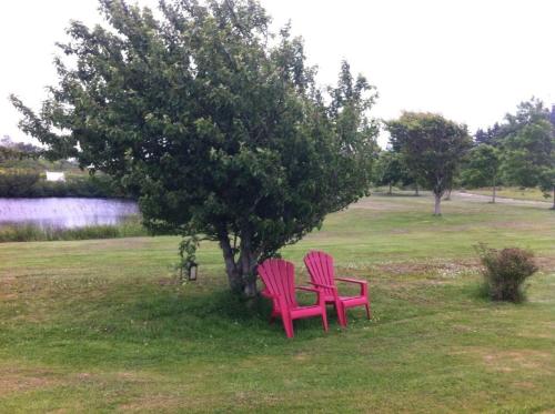 Kert, Argyle By The Sea Bed & Breakfast in Yarmouth County (NS)