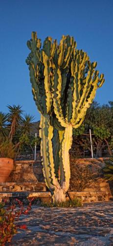Villa Tholos Crete - image 5