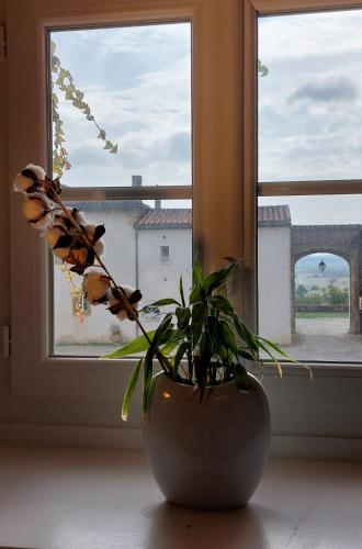 Skats, La Ginelle - Appartement Savane in Airoux