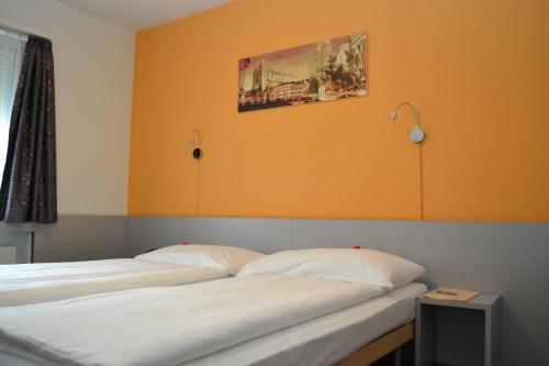 Alexander Guesthouse Zurich Old Town, Curych (fotografie 3)