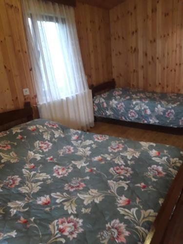 Borjomi Mzetamze in Tsaghveri