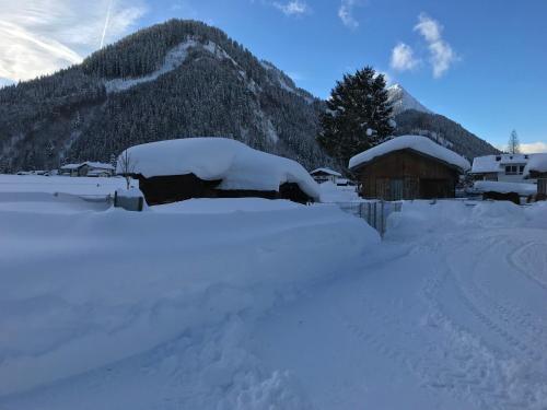 Pony-Ziegen-Hasen-Ranch Bichlbach