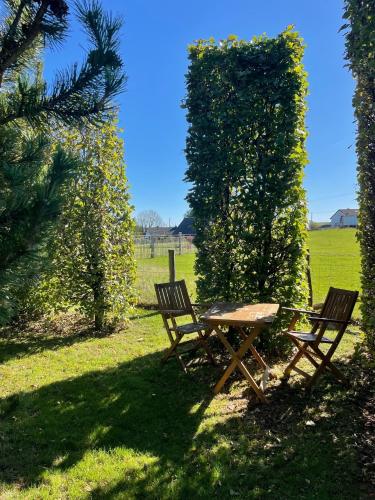 EifelChalet Arduina mit Wintergarten und Saunahaus im Naturpark Hohes Venn- Eifel