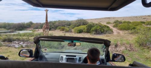 Garden Route Safari Camp