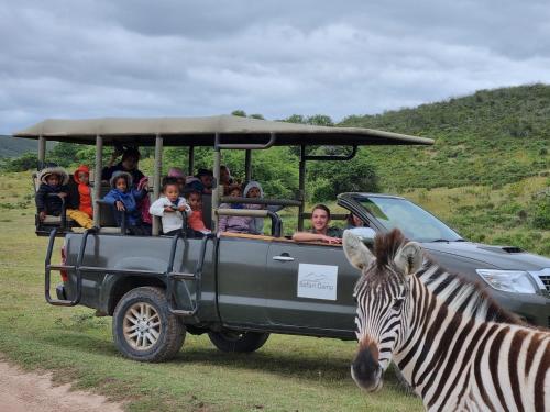 Garden Route Safari Camp