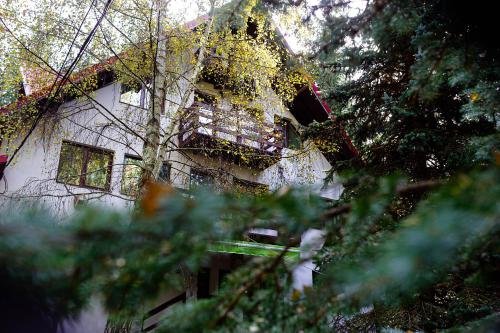 Viesnīcas āriene, Casa Mario in Valea Hotaruluja
