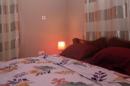 Lurelin Village Apartments - image 2