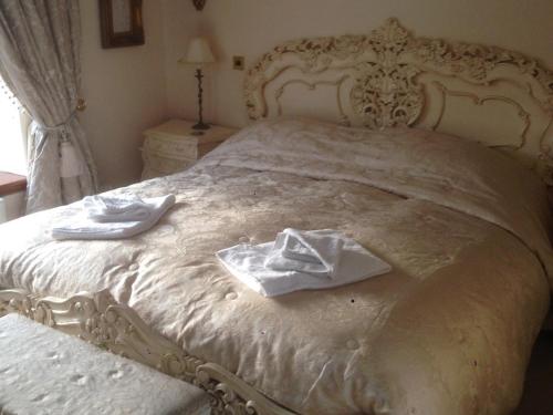 Melody House Bed and Breakfast - image 10