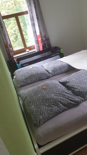 Ferienwohnung an der Begerburg, Drážďany (fotografie 2)